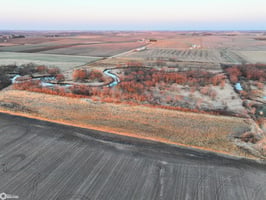 29590742