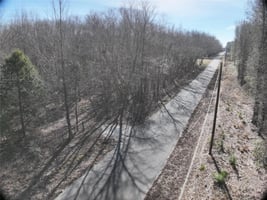 29591607