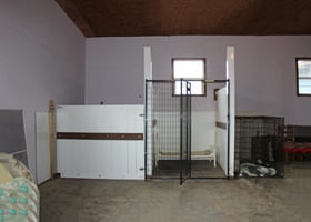 31338658