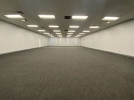 29593020