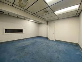 29593021