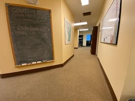 29593039