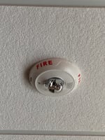 29596463