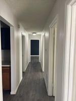 29597458