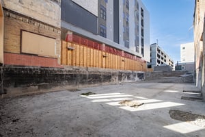 29615813