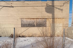 29620124