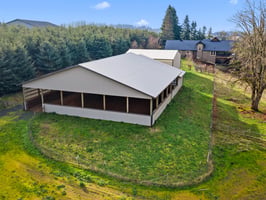 29619568