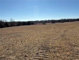 29621569