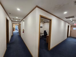 31337884