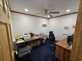 31337885