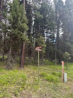 33507280