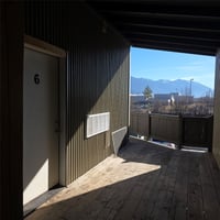 29634528