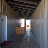 29634536