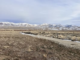 29636482