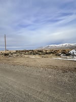 29636491