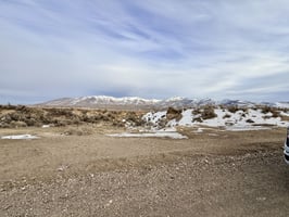 29636494