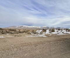 29636495