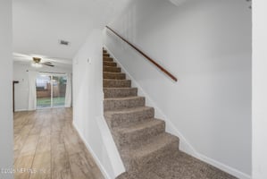 29638744