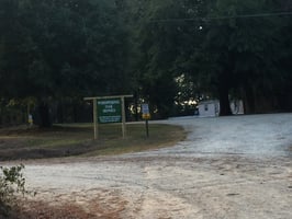 29641102