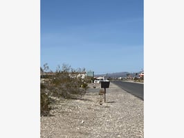 29641202