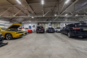 29644157