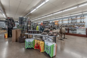29646116