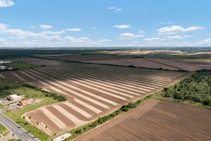 29646368