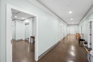 29647984