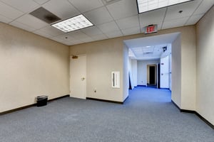 29647067
