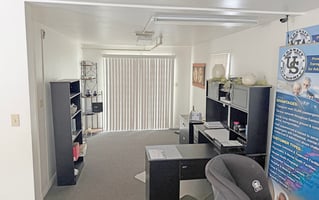 29647117