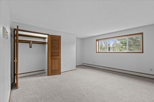 29647637