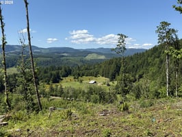 29652680