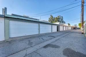 29650061
