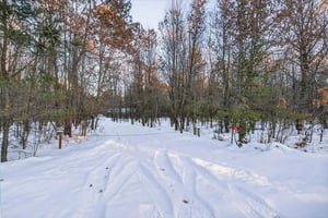 29650183