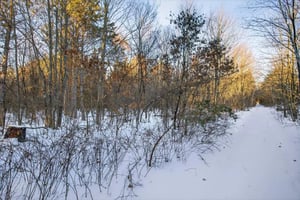 29650172