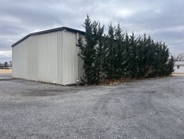 29651028