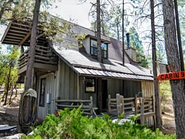 29651526