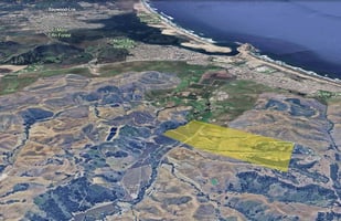 29653616