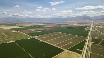 29653761