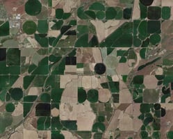 29654378