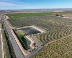 29654359