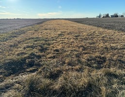 29654678