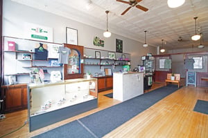 29657545