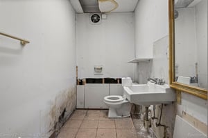 29658267