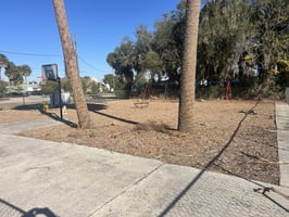 29658363