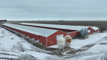 29658933