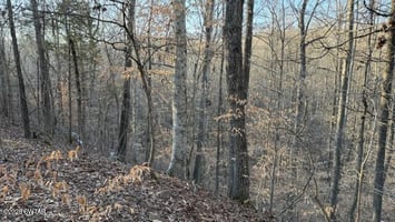 29659423