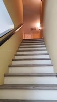 29660598