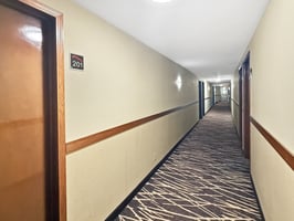 29661394