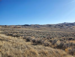 29662173